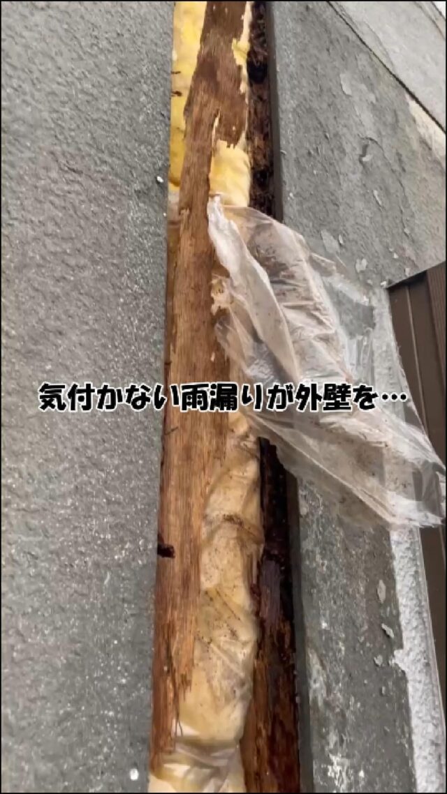 外壁塗装 専門店 サイワ塗装工業 埼玉県さいたま市 雨漏り調査